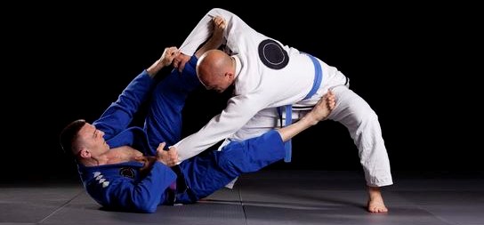 BJJ training
